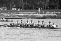 Koninklijke_1984_130_20-35