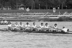 Koninklijke_1984_130_21-36