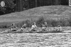 Koninklijke_1984_131_14
