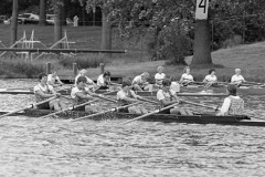 Koninklijke_1984_133_25-41