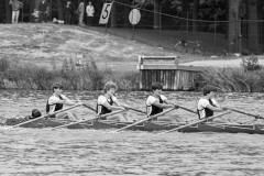 Koninklijke_1984_133_31-47