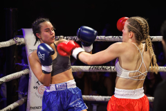 LagaBoksgala_20260220_5150