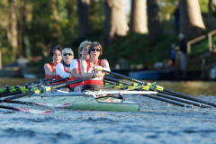 Lingebokaal_20221112_05979 Lingebokaal_20221112_05979