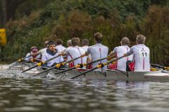 Lingebokaal_20241109_00937