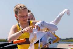 Northwave_20230610_1475