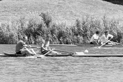 NSRF_85111_10A