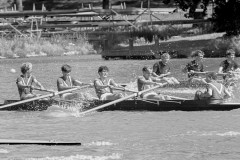 NSRF_85111_24A
