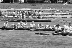 NSRF_85111_44A