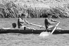 NSRF_85113_04_14