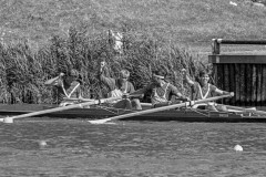 NSRF_85113_31_41