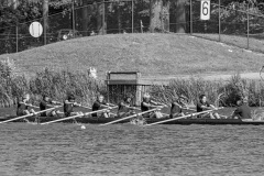 NSRF_85114_04_33A