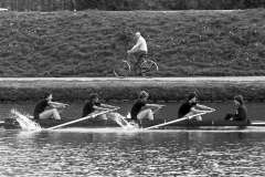 Randstad_198358_04A