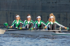 WW_20190216_0503