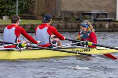 WW_20240217_08296